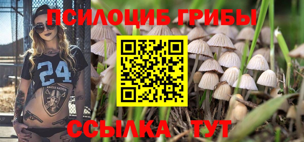 Сердобск  Галлюциногенные грибы Cubensis  Псилоцибиновые грибы мицелий  Вход с VPN 